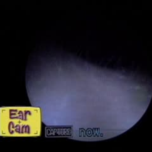 EDIT 202 Sample Video