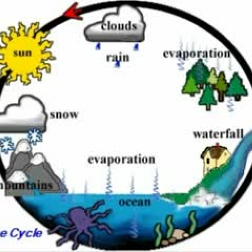 Winsome Silcott Water Cycle