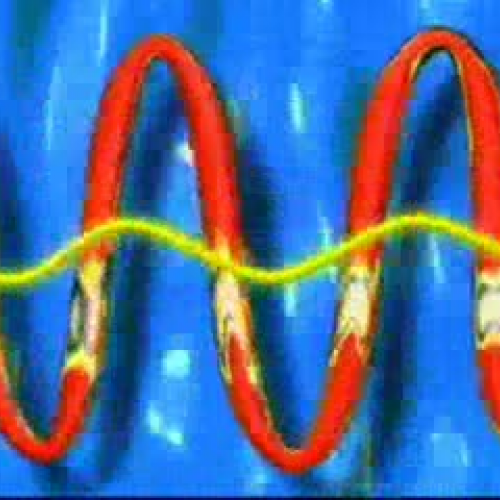 EDIT 202 Sample Video