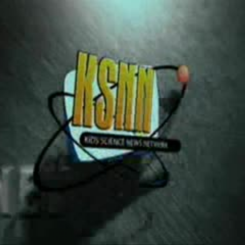 EDIT 202 Sample Video