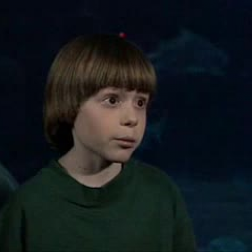 EDIT 202 Sample Video