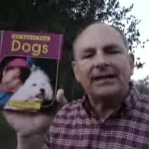 All About Pets-Dogs with Mr. Deen