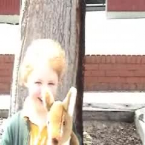 Prep - Australia to America