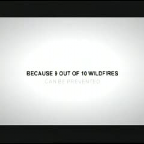 Wildfire Prevention – Step In