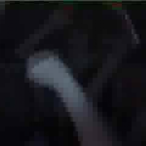 Driving while Distracted