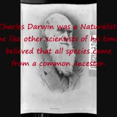 Darwin Video