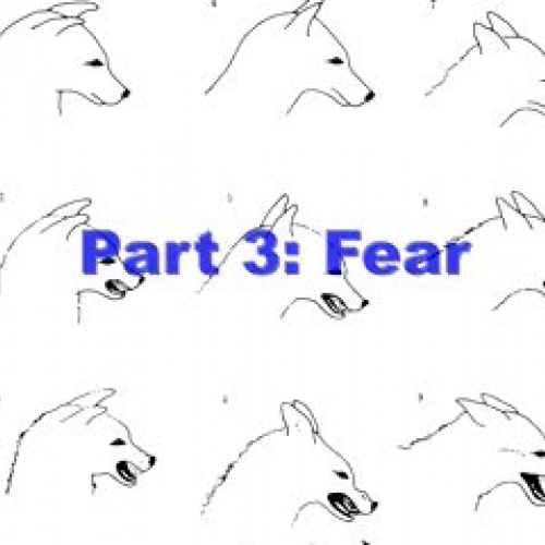 Dog Behaviour: Fear