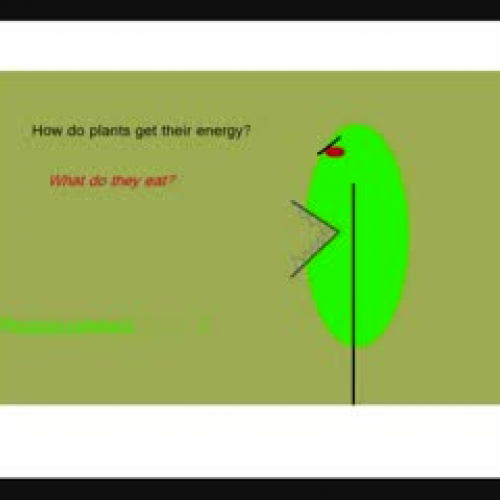 Photosynthesis- Basic