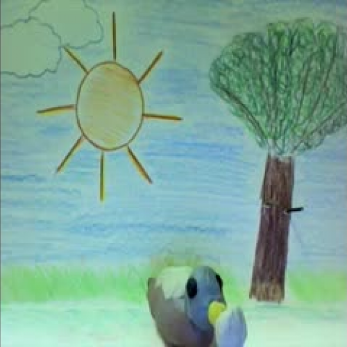 Animal Behavior Test