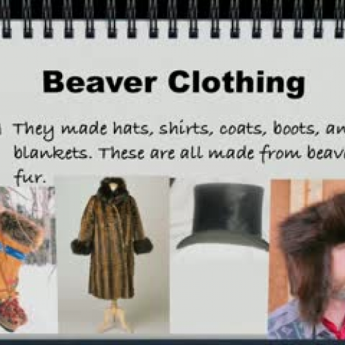 All About Beavers