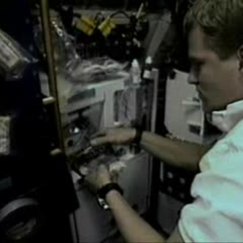 EDIT 202 Sample Video