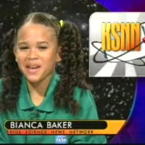 EDIT 202 sample video