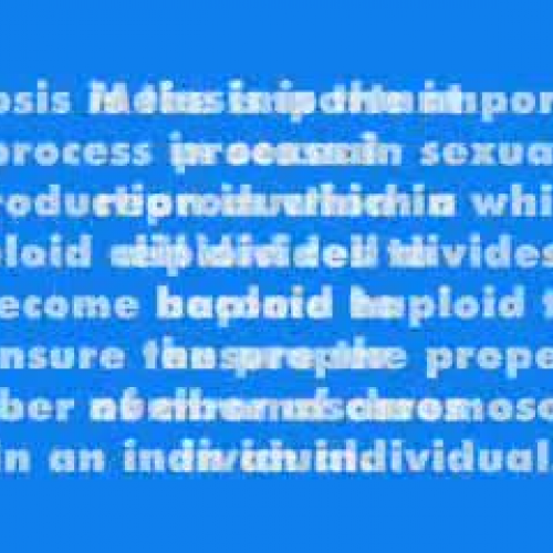 meiosis