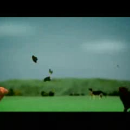 Grand Champion International de Course