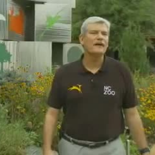 Special NC Zoo Events for October 2009