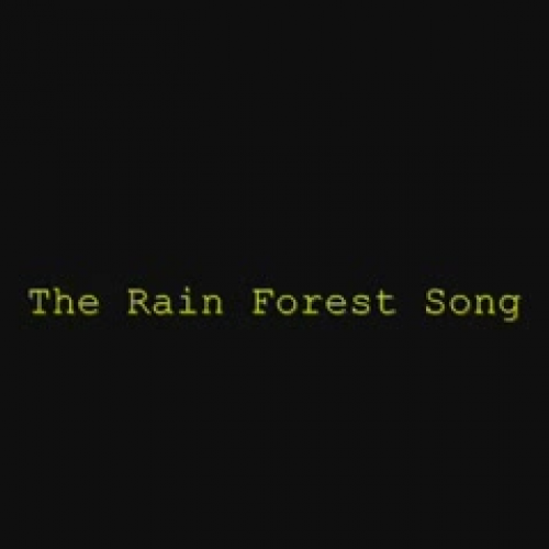 Rainforest Song