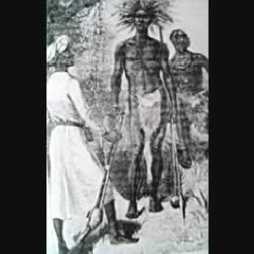 Things Fall Apart Characterization