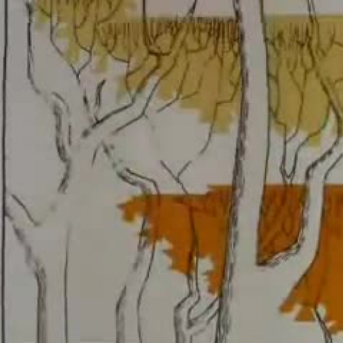 The Bear That Wasn't