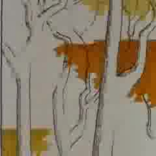 The Bear That Wasn't