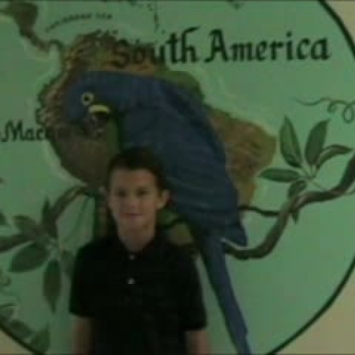Ms. Luck's Class-Continents