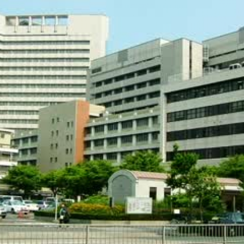 Rectangle Techno Dad