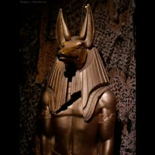 anubis