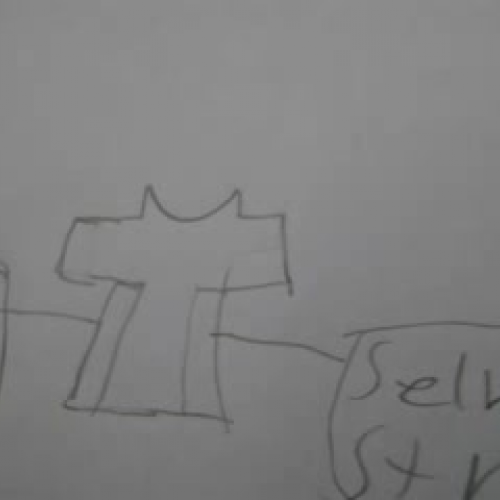 Fashion Extravaganza