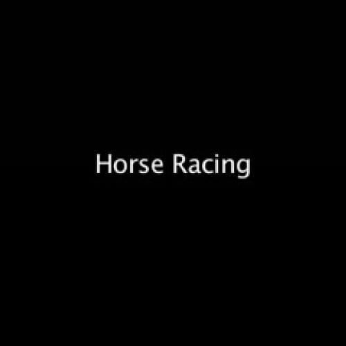 Meadows Primary School - Horse Racing 2