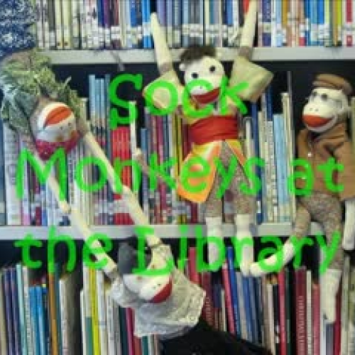 Sock Monkeys in the Library
