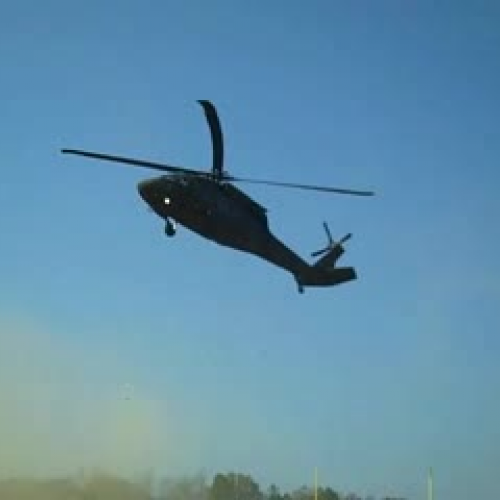 Veteran's Day Surprise