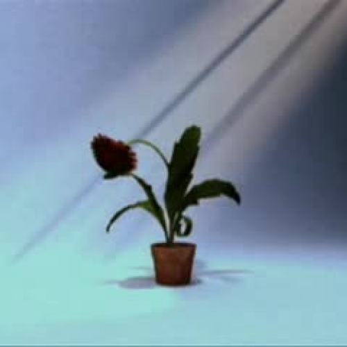 Edit 202 Sample Video