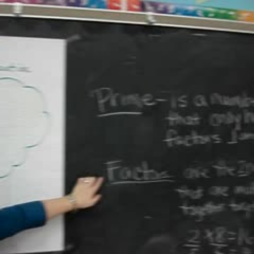 Prime Factorization Tree