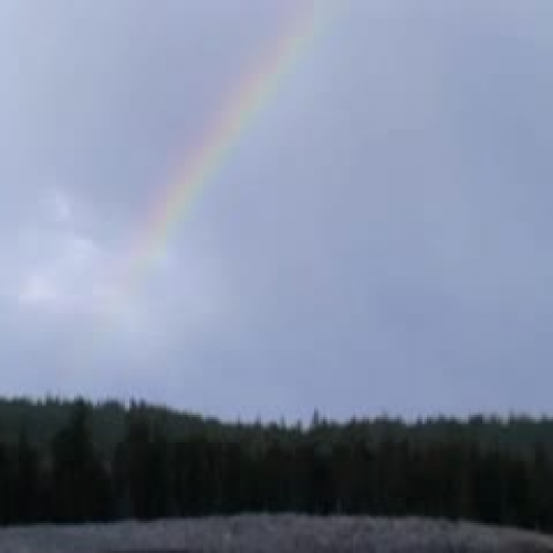 Marine Investigations: Tidepooling