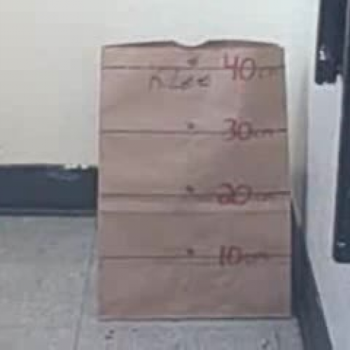 bungee egg drop 2009