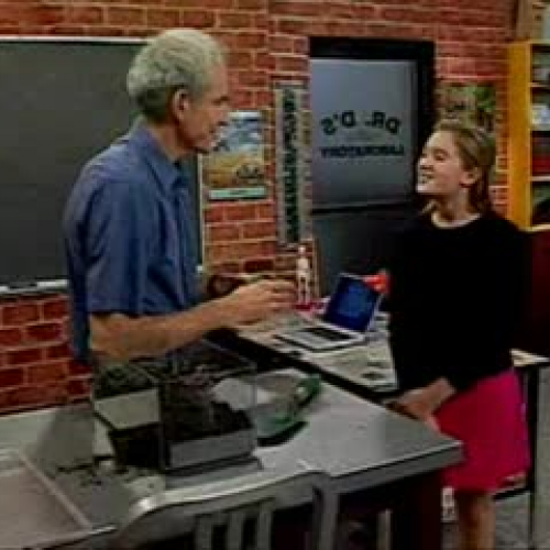 EDIT 202 Sample Video