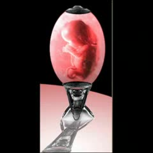 Brave New World Video