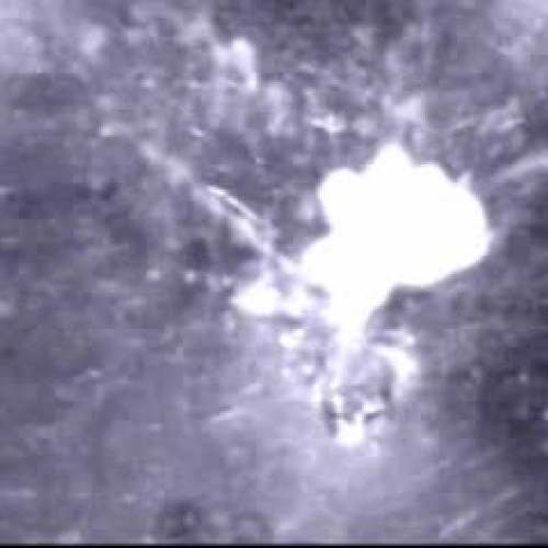 EDIT 202 Sample Video