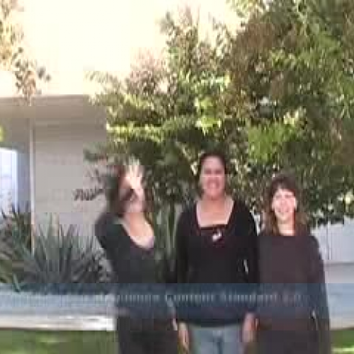 The Power of the Force