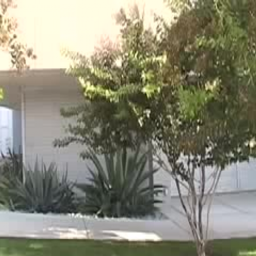 Newton's 3 Laws of Motion