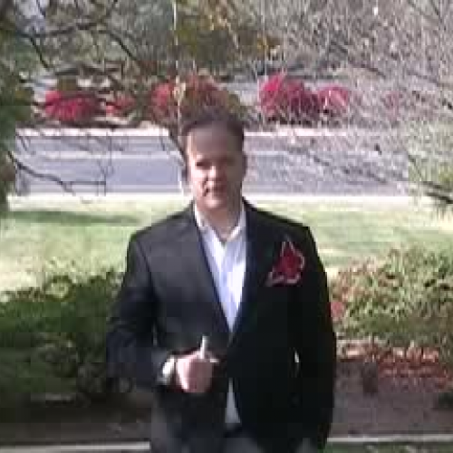 Caterpillar Metamorphosis