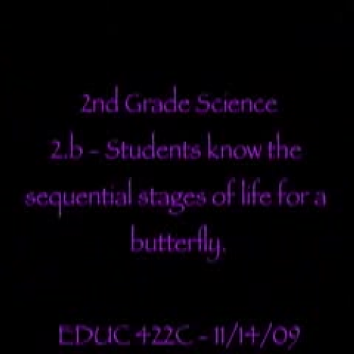 A Butterfly Film