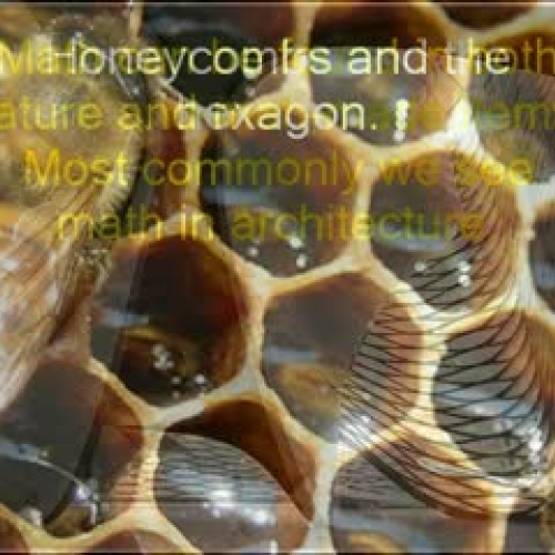 Parabolas in the world