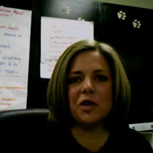 Capitalization-Business and Organization