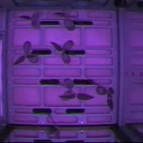 EDIT 202 Sample Video