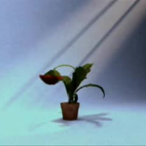 EDIT 202 Sample Video