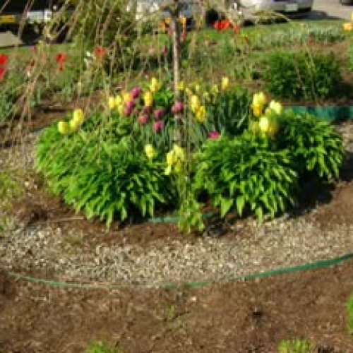 Make a Difference Day