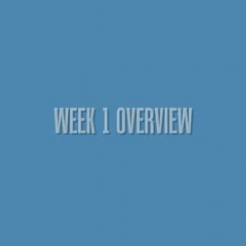 Week 1 Video: TECHFL