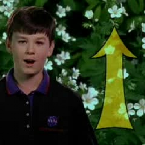 EDIT 202 Sample Video