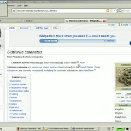 I'm stuck with my research