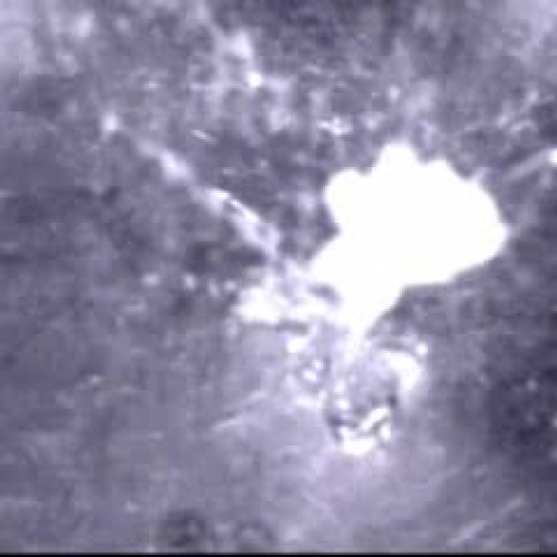 EDIT 202 Sample Video